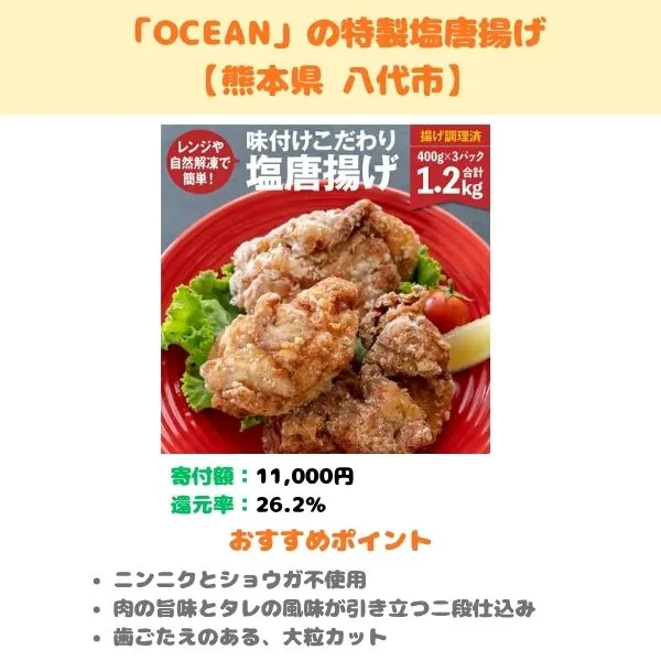 「OCEAN」特製塩唐揚げのふるさと納税返礼品紹介画像
